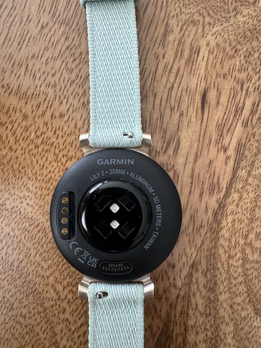 Smartwatch Garmin Lily 2