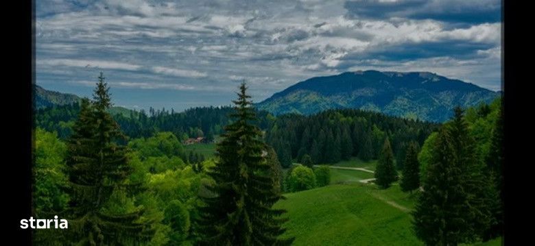 SUPERB Teren  intravilan de 2350mp  in Poiana Mica Brasov