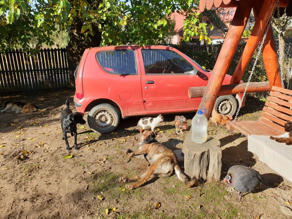 Fiat 600 pentru piese sau dezmembrări
