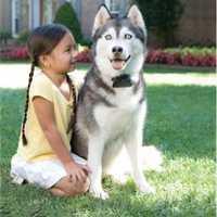 Sistem de gard invizibil Petsafe pentru câini mari sau încăpățânați.