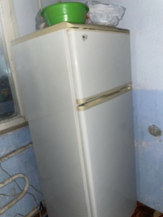 Holodelnik muzlatgich