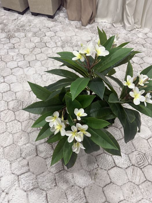 Цветы искуственный