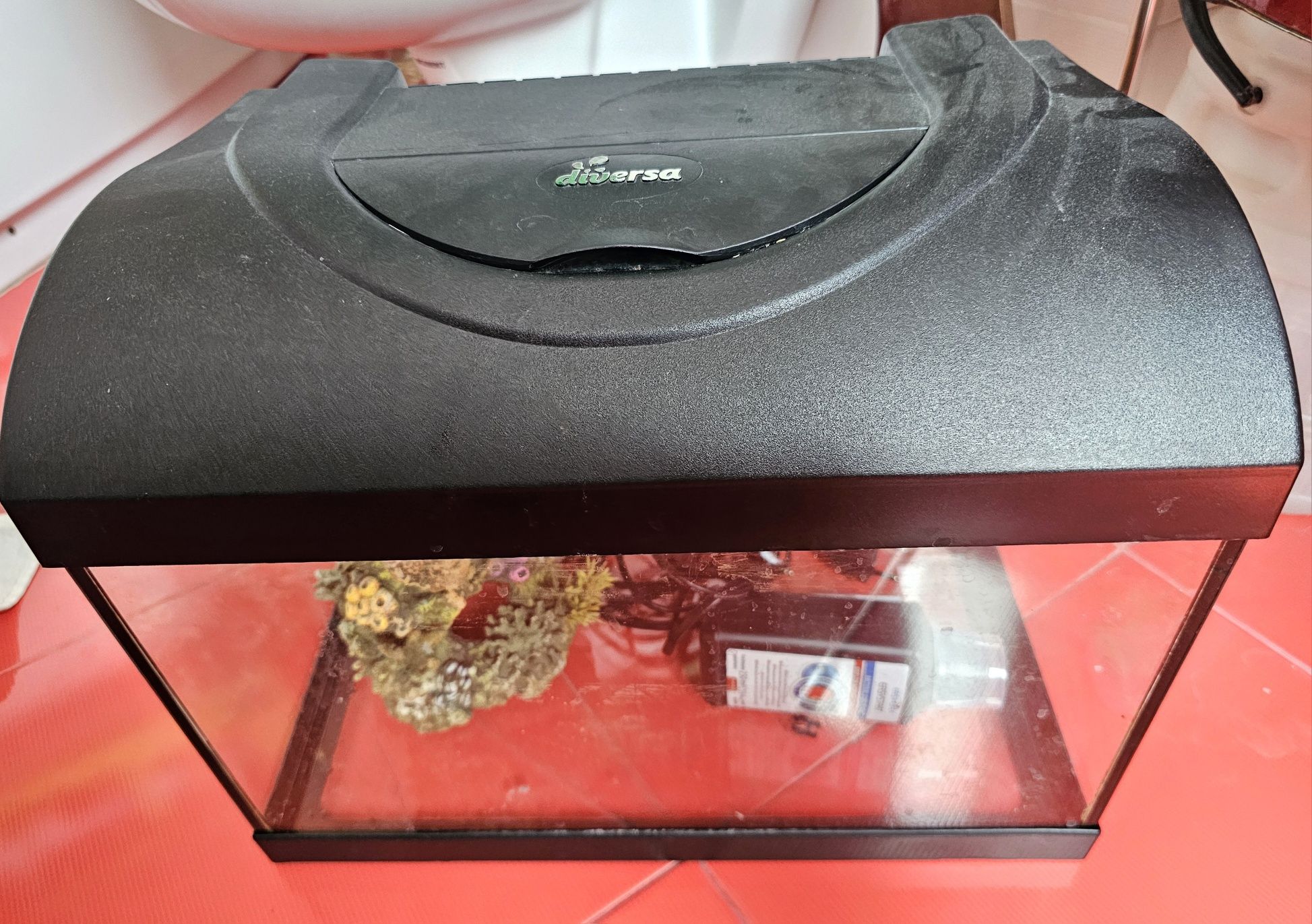 Acvariu set (trusa de acvariu)