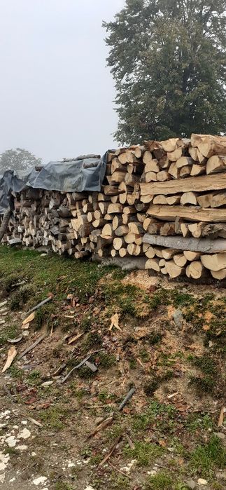 De vânzare lemne de foc esență fag 10 metrii ster
