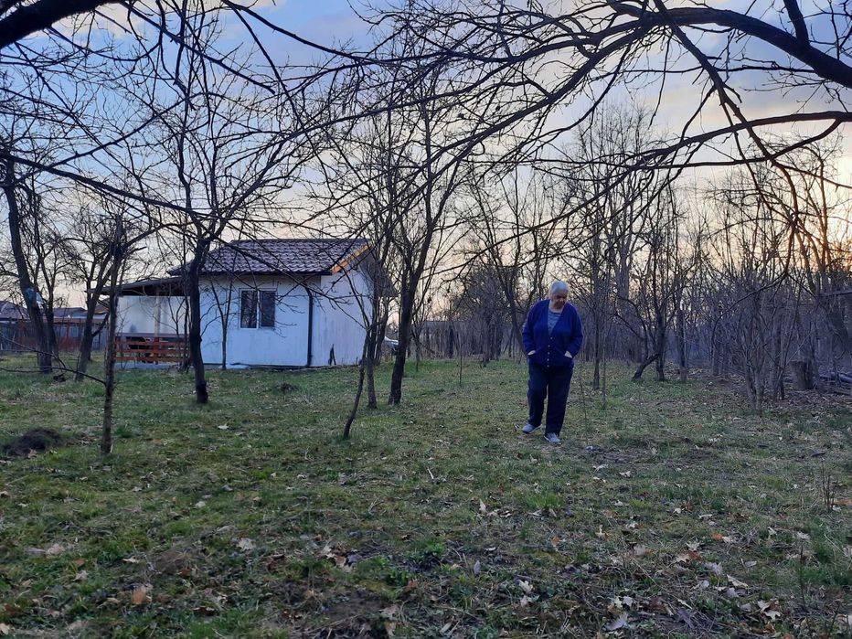 Vand 2500 mp teren intravilan cu cabanuta locuibila Prahova, utilitati