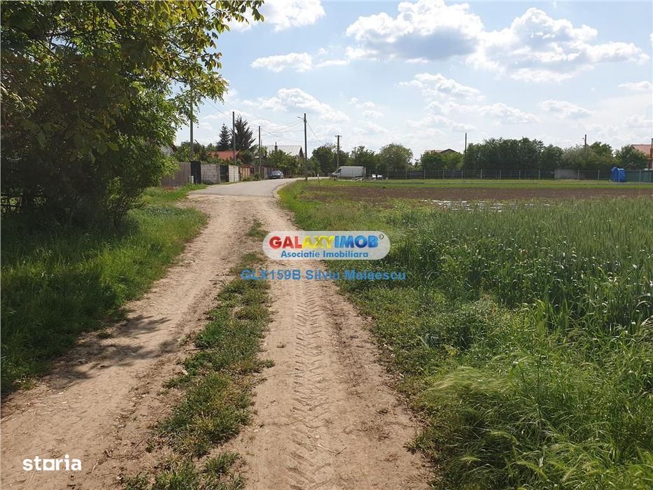 Crevedia - Darza - Teren 13.055 Mp