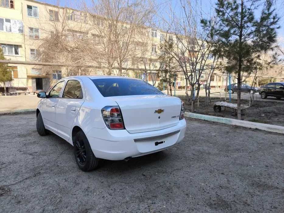 Cobalt Midnight 1.5