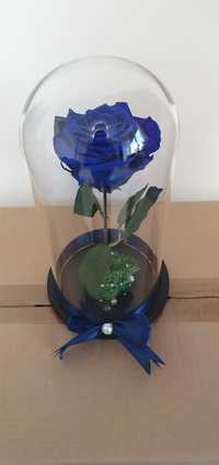 Cupola sticla cu trandafir criogenat