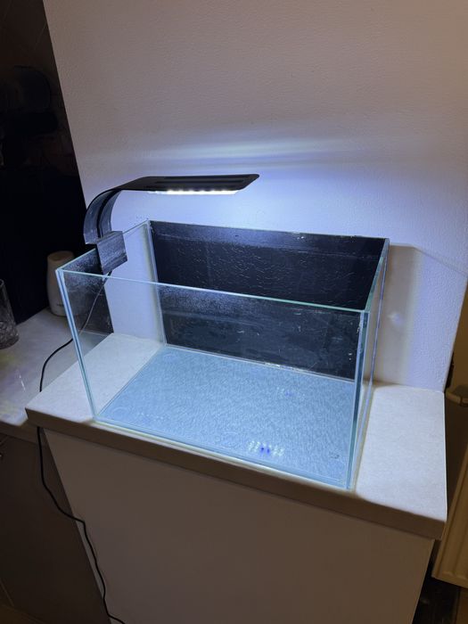 Acvariu 20L / lampa inclusa