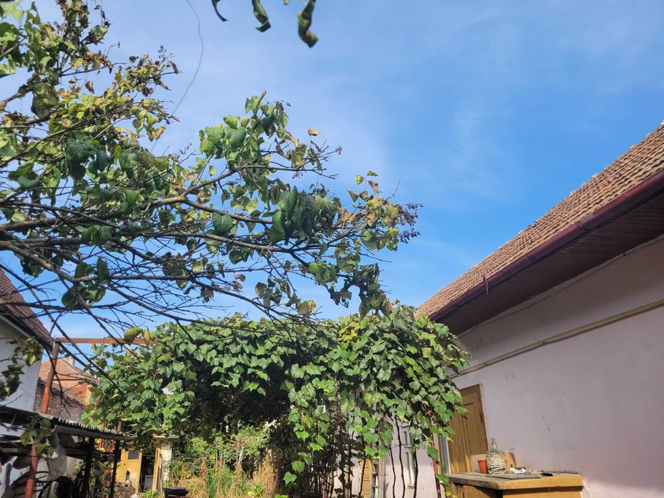 Casă de vanzare în Gherla