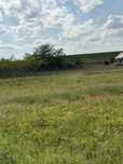 Teren de vanzare in Poroschia 3200 mp