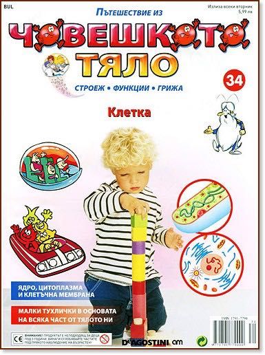 Пътешествие из ЧОВЕШКОТО ТЯЛО (Списания + Анатомични модели)