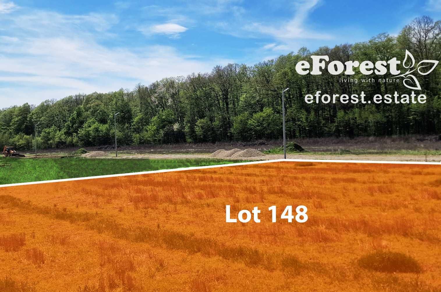 eForest, 300 lotuiri între păduri, acces direct din DN1A