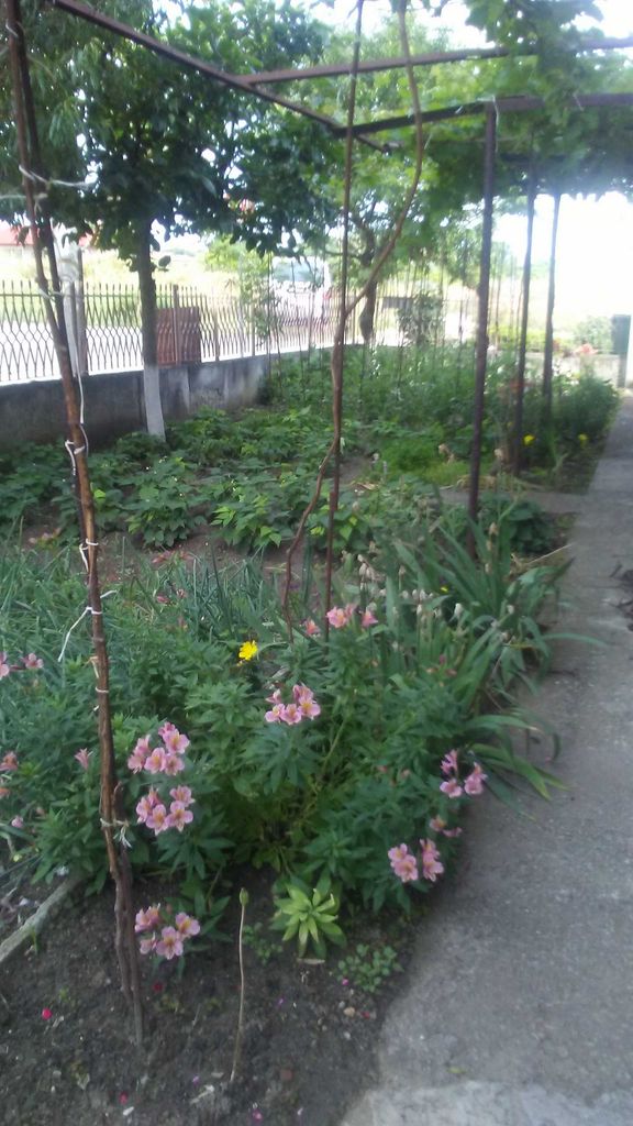 Продава се Етаж от къща в с. Равда, Област Бургас - 130 кв.м за 1154 €/кв.м - Снимка #4