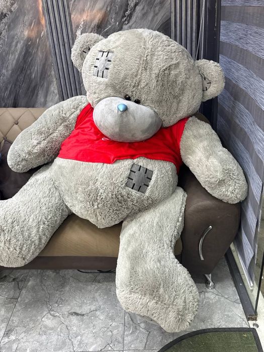Teddy teddi sifatli va arzon