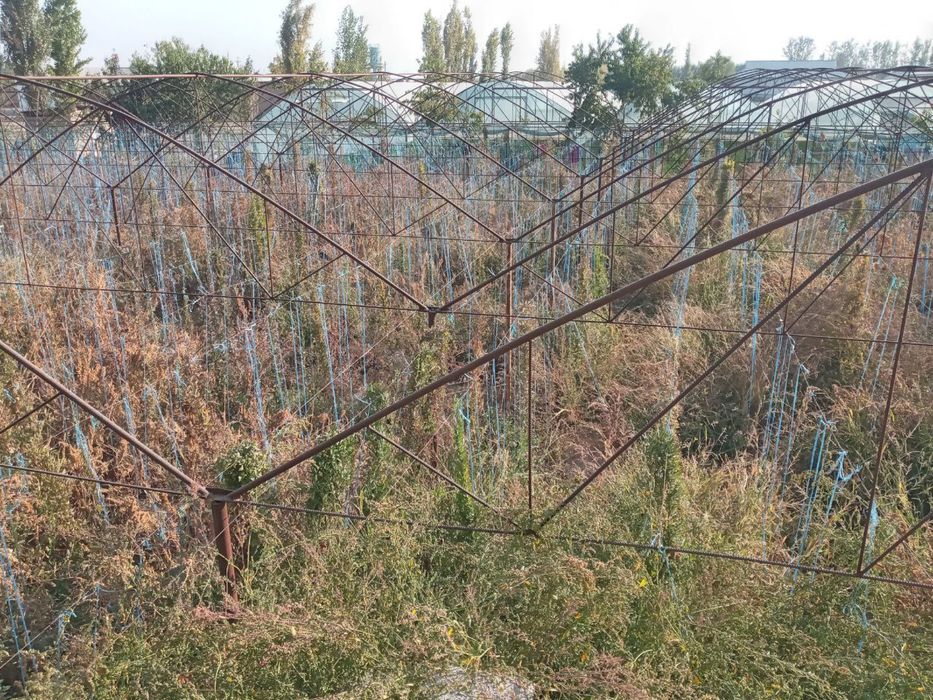 TЕПЛИЦА срочно сотилади  13.5 сотих - сув окувd латоги йок