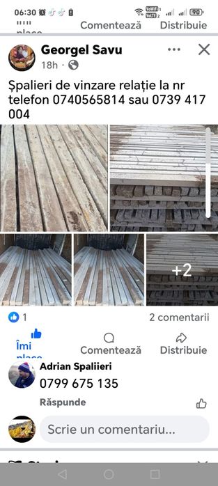 Neluțu  vinde spalieri  de beton