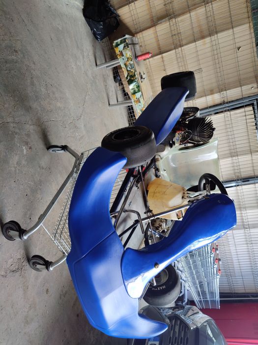 Kart de vânzare Tecno Kart