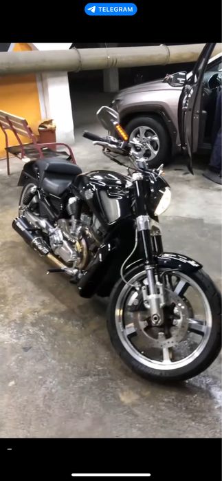 Harley Davidson V-ROD Muscle срочно