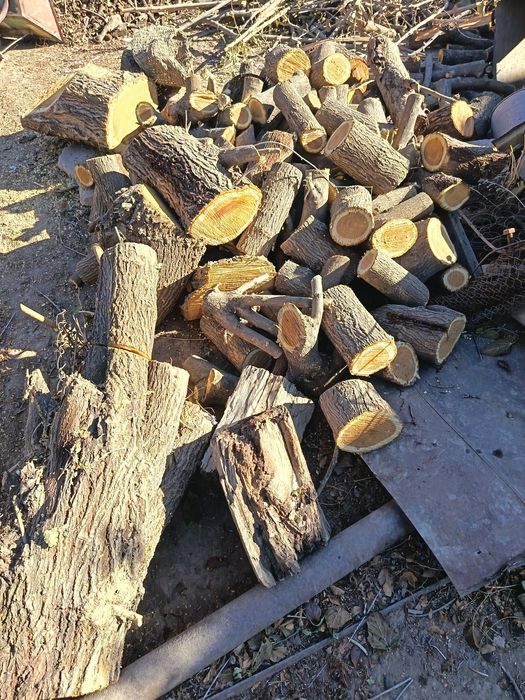 Otin sotiladi orik, tut, gilos