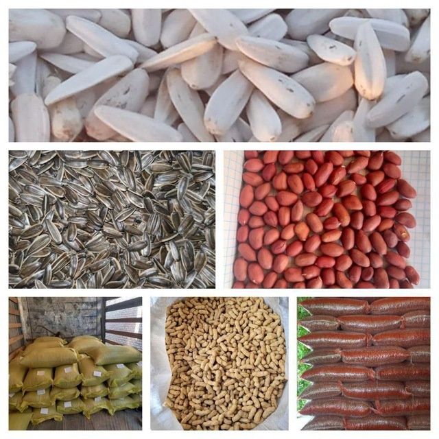 Yer yongoq magiz oq põchoq