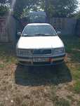 Skoda 2004 benzina