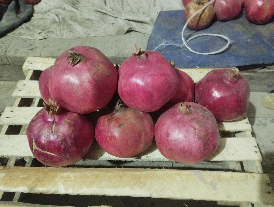 Anor mevasi  .. гранат фрукты