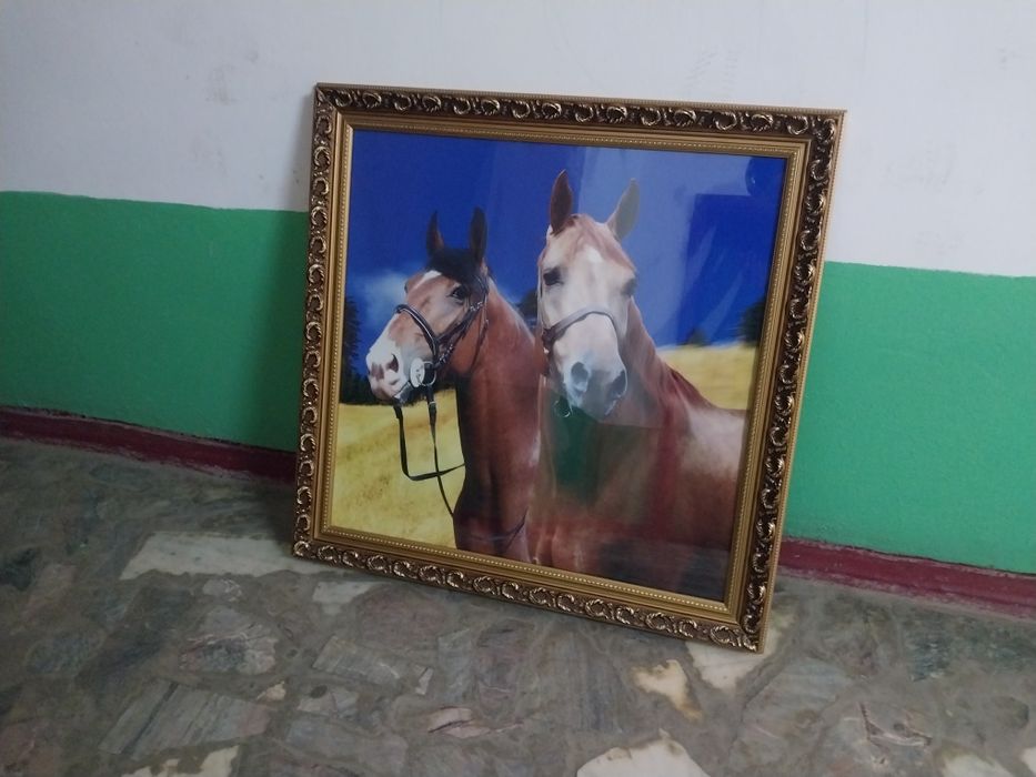 Красивая Картинка лошадь
