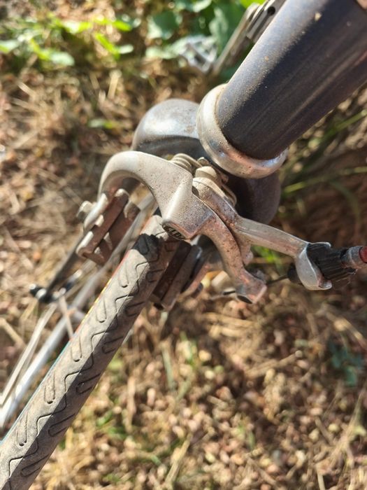 Cursiera Peugeot și Bachmann, Raleigh de oras