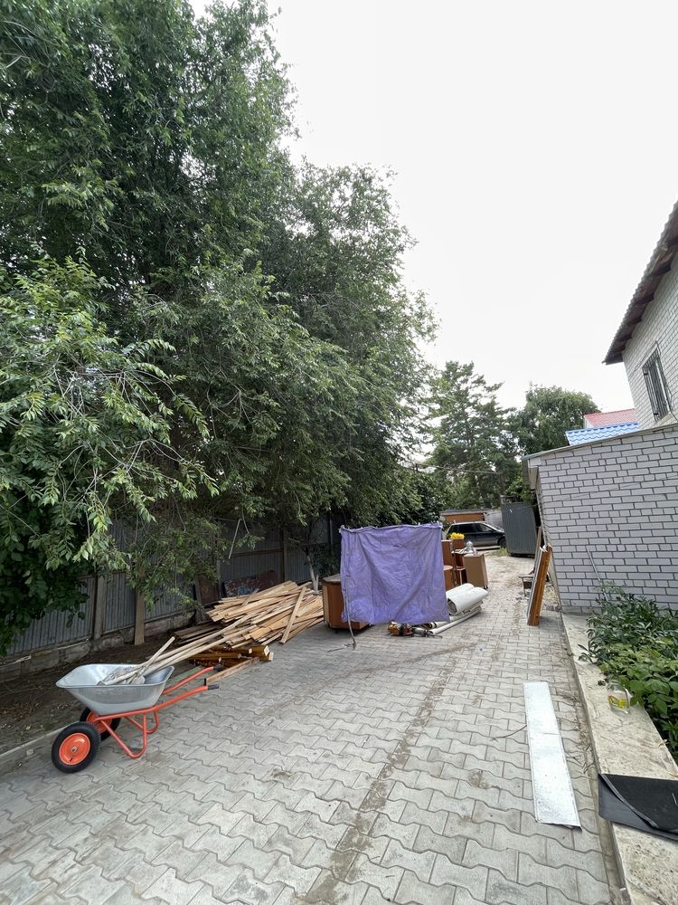 Дрова бесплатно. Надо срезать и забрать