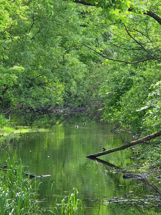 Teren intrav. Lunca Calnicului, Prejmer, loturi de 460 si 1000 mp