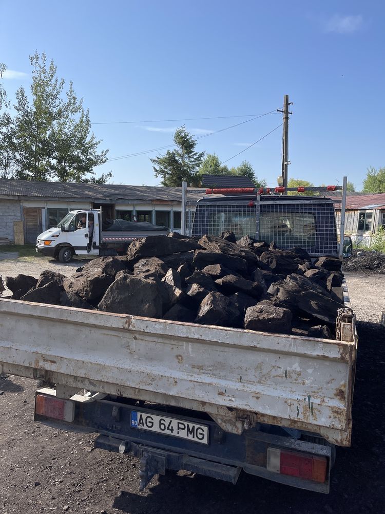 ////Cărbunii %Lignit%  \\\\Sortat manual Pt foc fara praf