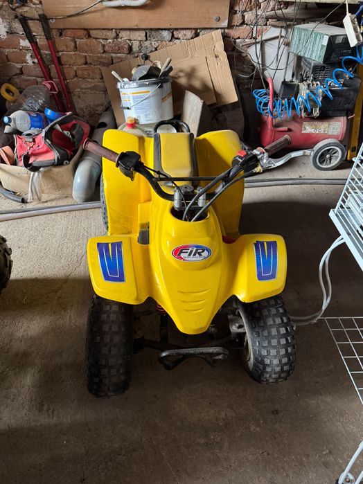Atv copii Quadzilla buzz