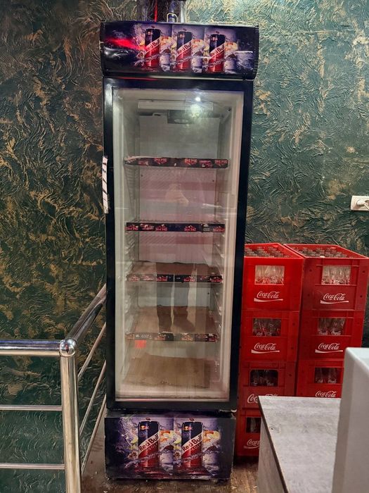 Стаяше холаденлик