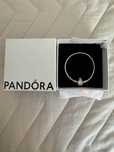 Гривна Pandora