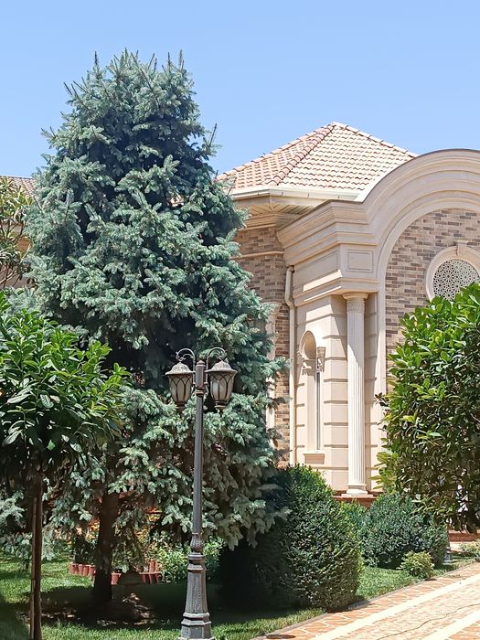 Bogʻbonchilik hizmati