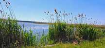 Teren intravilan Snagov. Priveliște lac Snagov  500 mp 140 m de lac