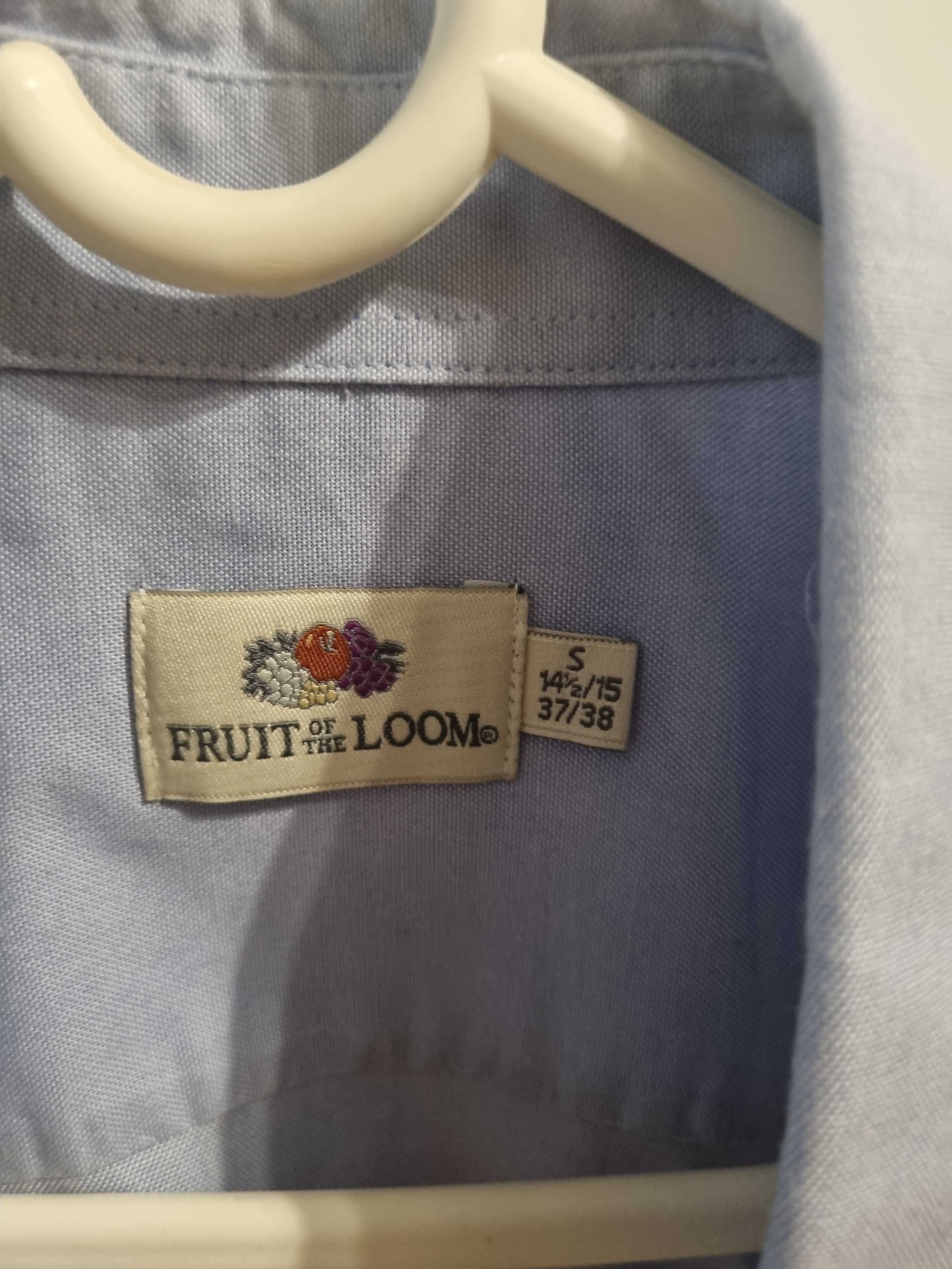 Camasi barbati, marca Fruit of the Loom, marime S - 37/38