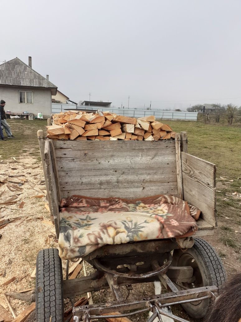 Vand lemne gata tăiate