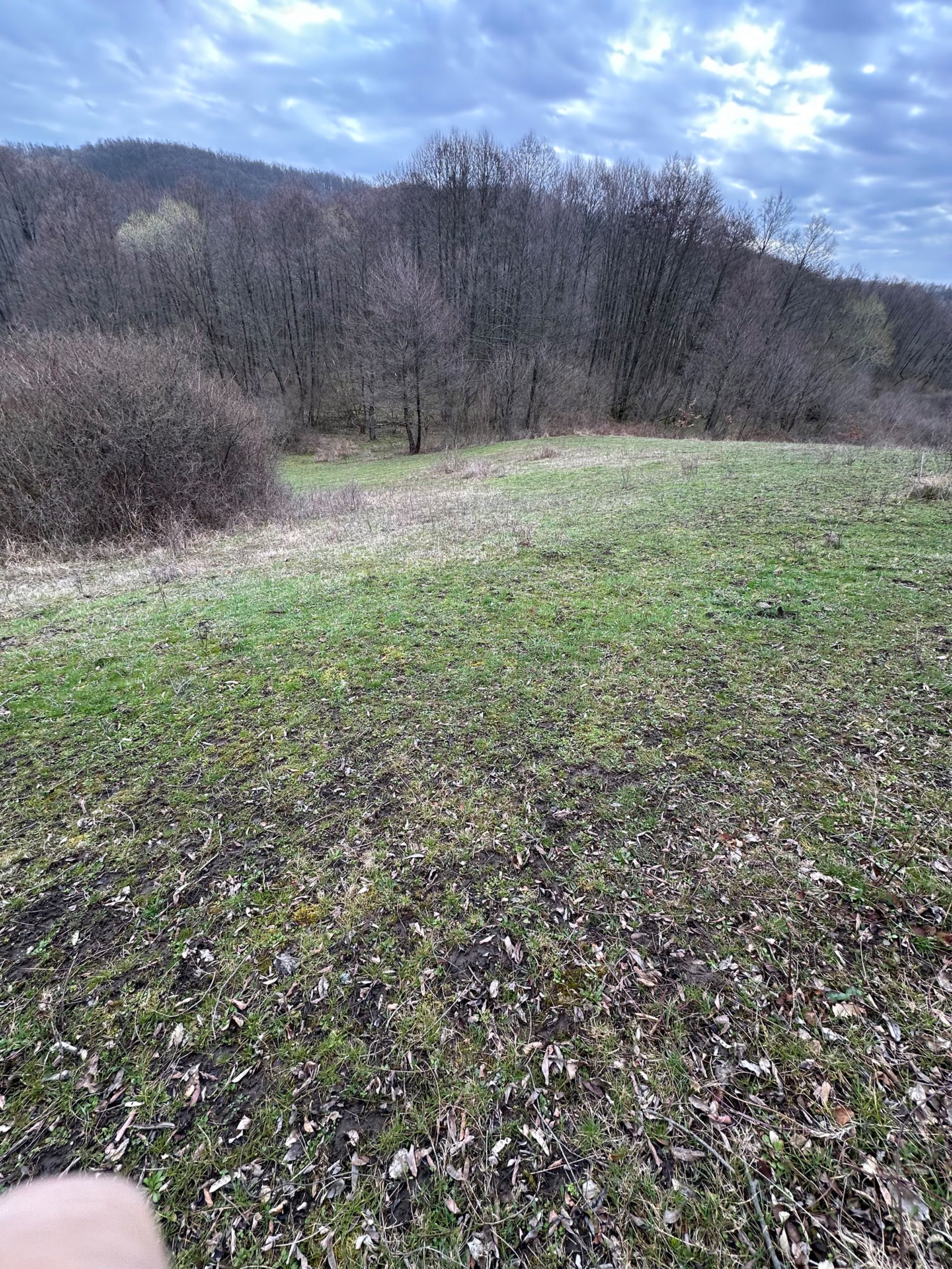 Vând teren extravilan în localitatea Dragesti, Bihor. 2000mp