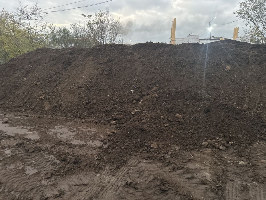 Mranita maturata ptr solarii sere familiale rasaduri