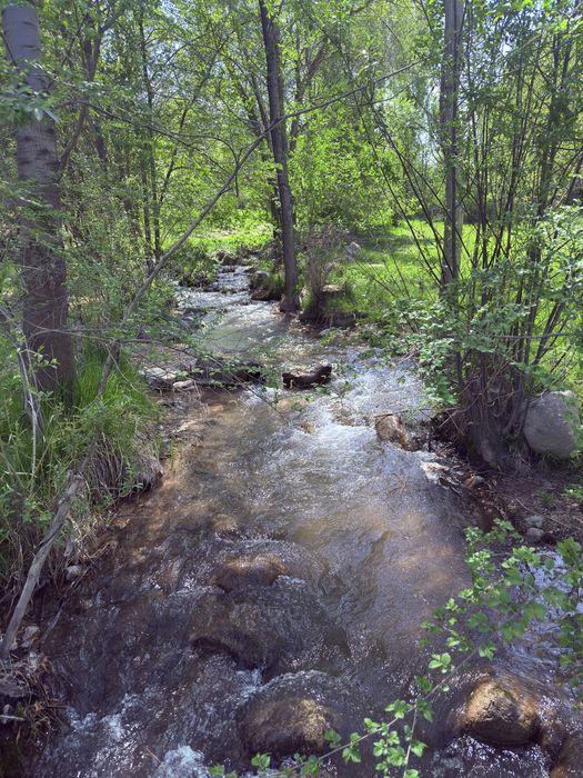 Уютный семейный дом с плодородным садом у реки.