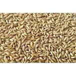 Продам Ячмень (Арпа) 110 тг/кг