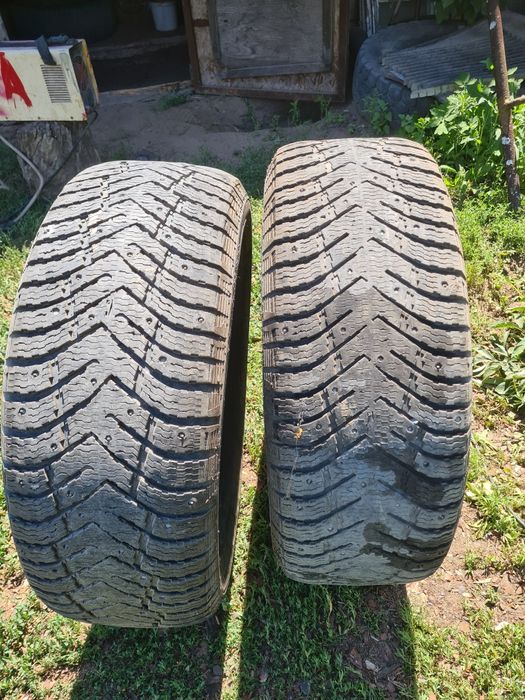 Қысқы донгелек сатамын