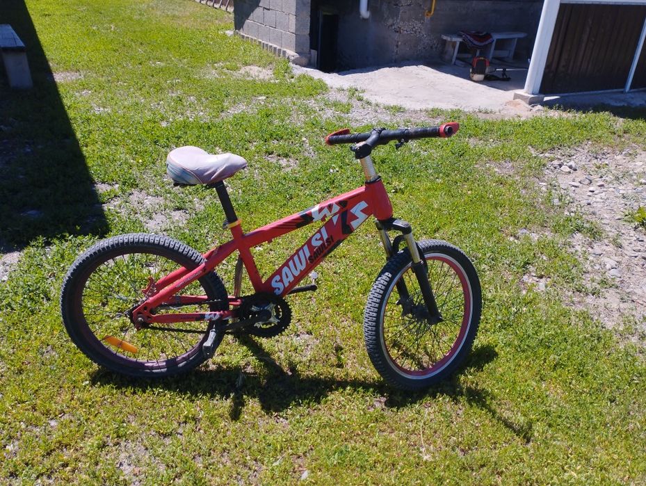 Велик обычный красный