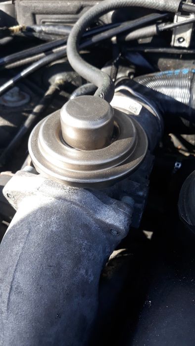 Egr passat 1.9 tdi