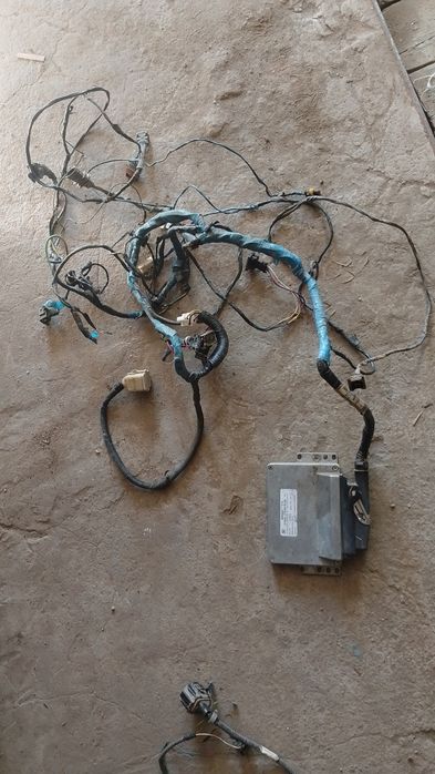 Мозга с косой для Газель