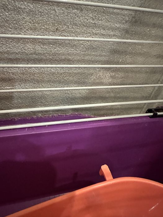 Клетка за гризач + подарък клетка за транспортиране