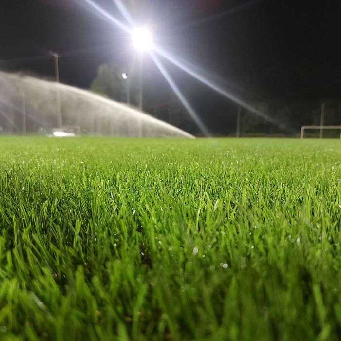 Anunț: Sistem de Irigații Profesionale