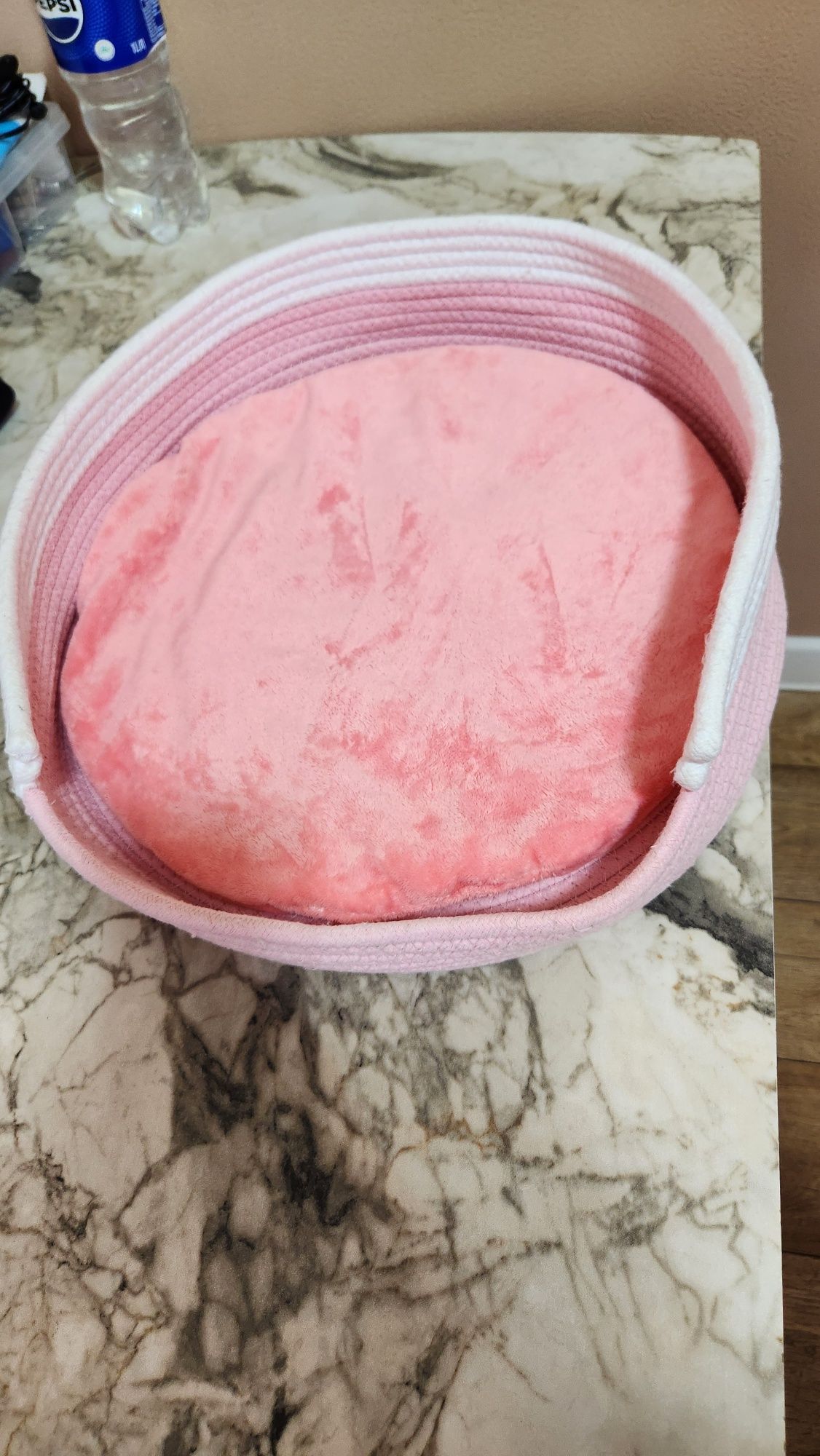 Лежак для котятт